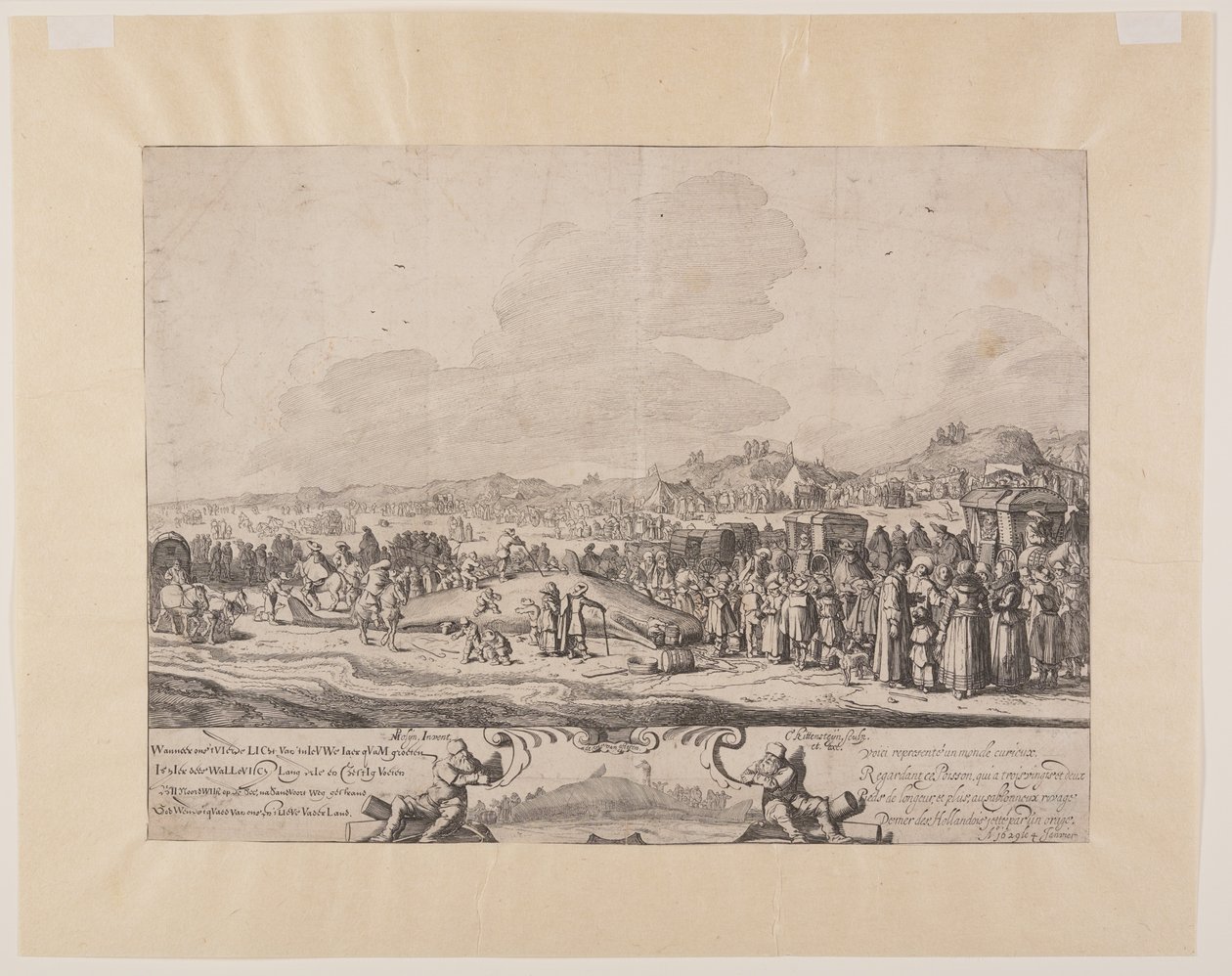 Cachalot strandad mellan Noordwijk och Zandvoort av Cornelis van Kittensteyn