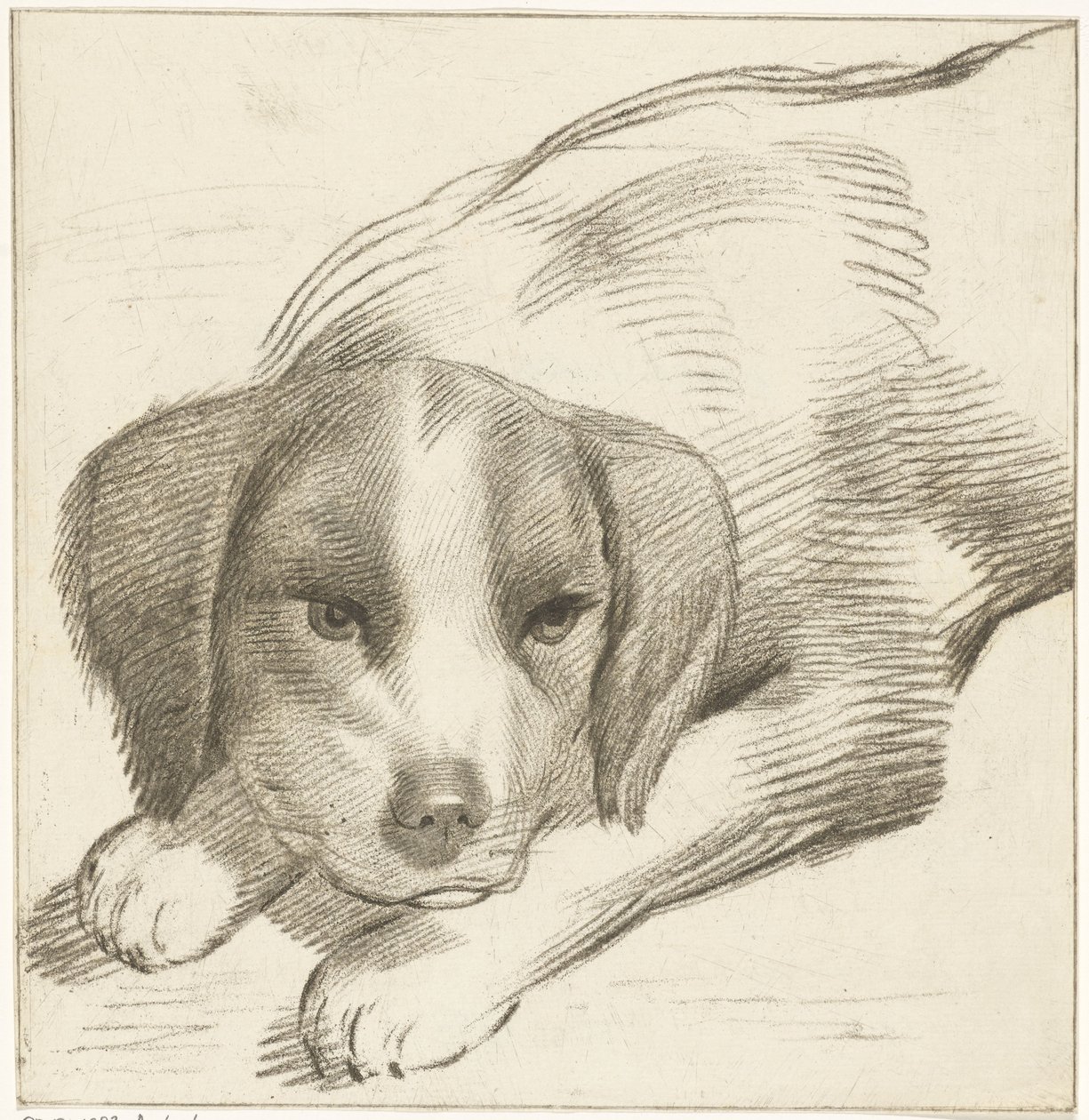 liggande hund av Cornelis van Noorde