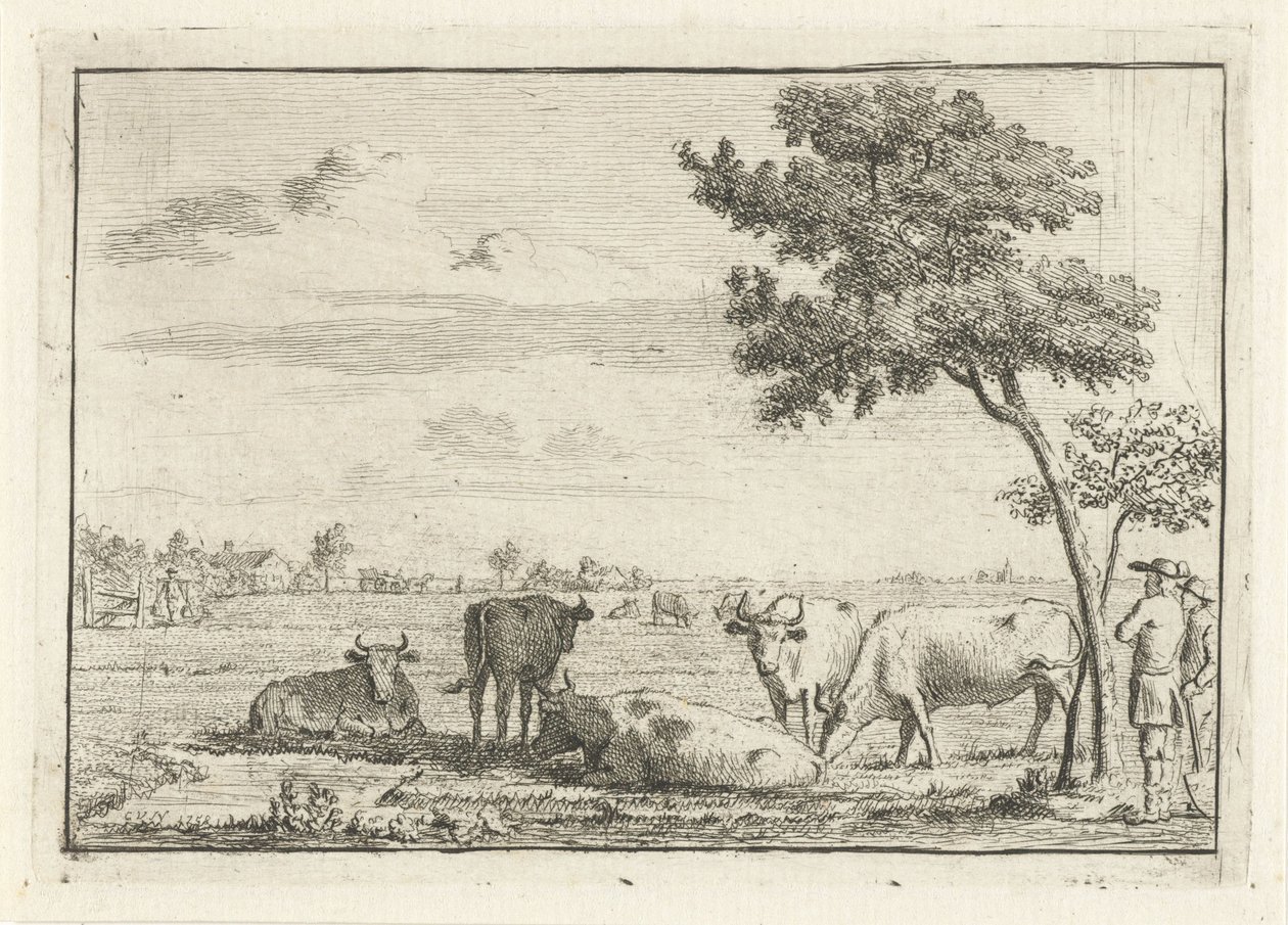 Fem kor på en äng av Cornelis van Noorde