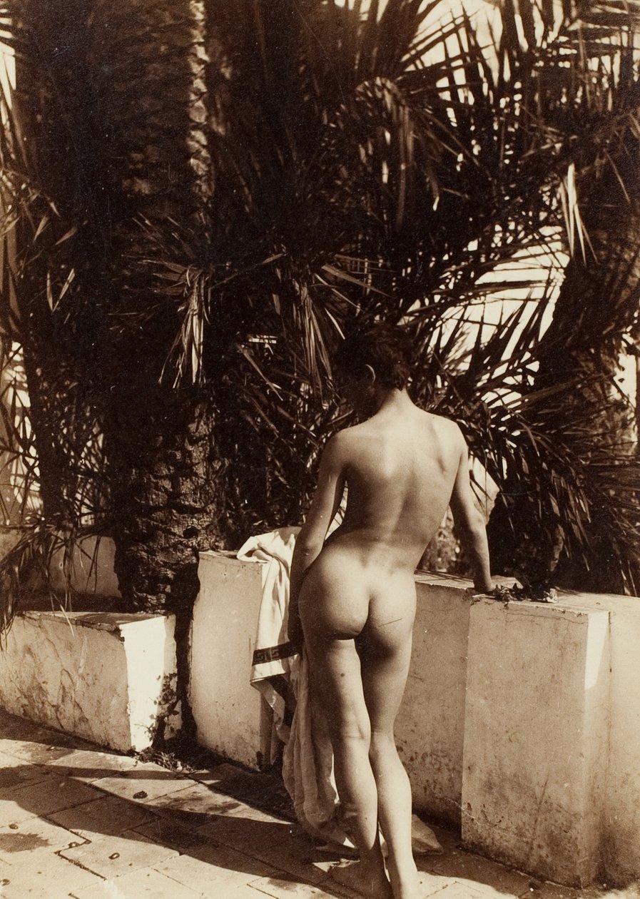 Naken man, 1890. av Count Wilhelm von Gloeden