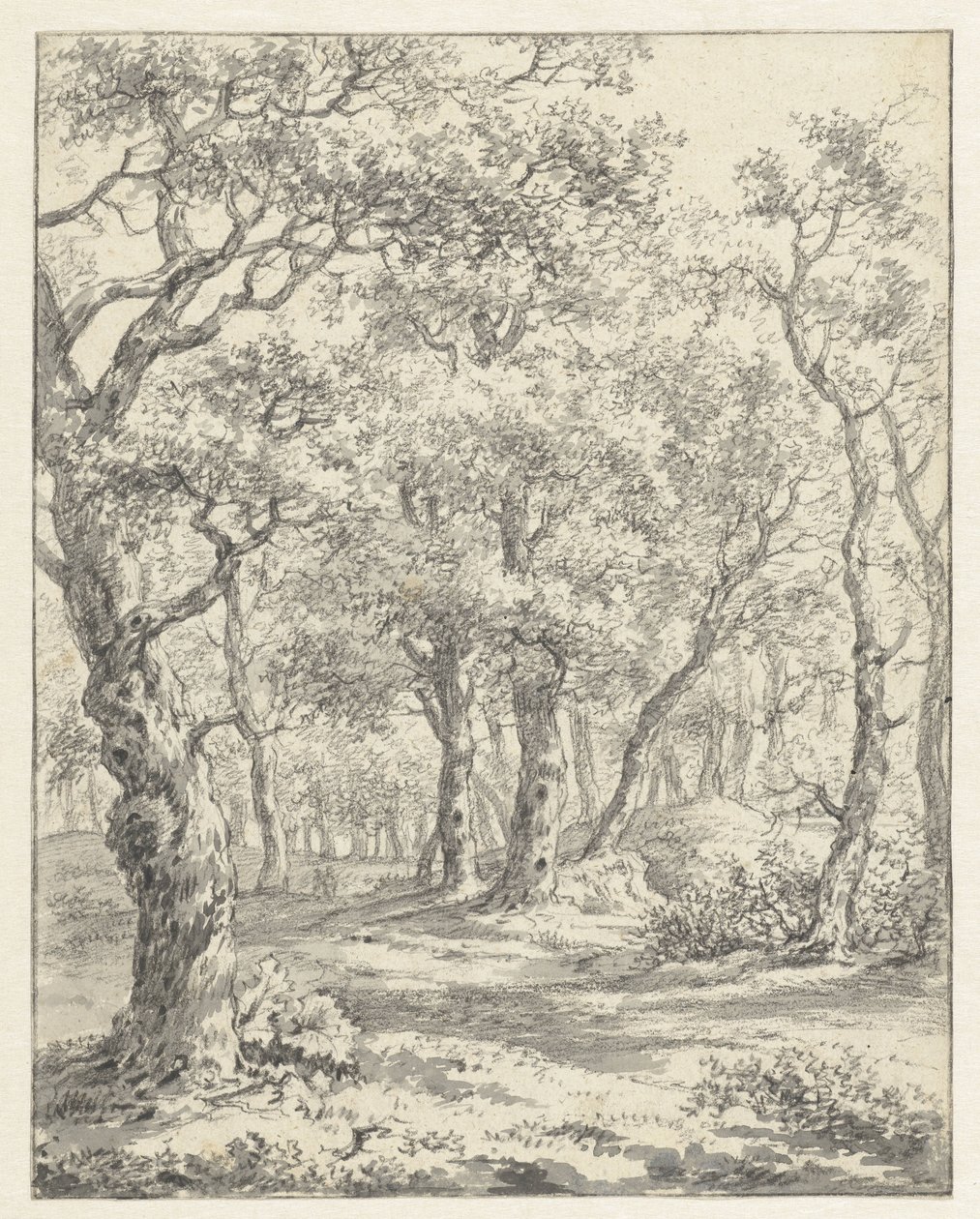 skogslandskap av Couwenhoven