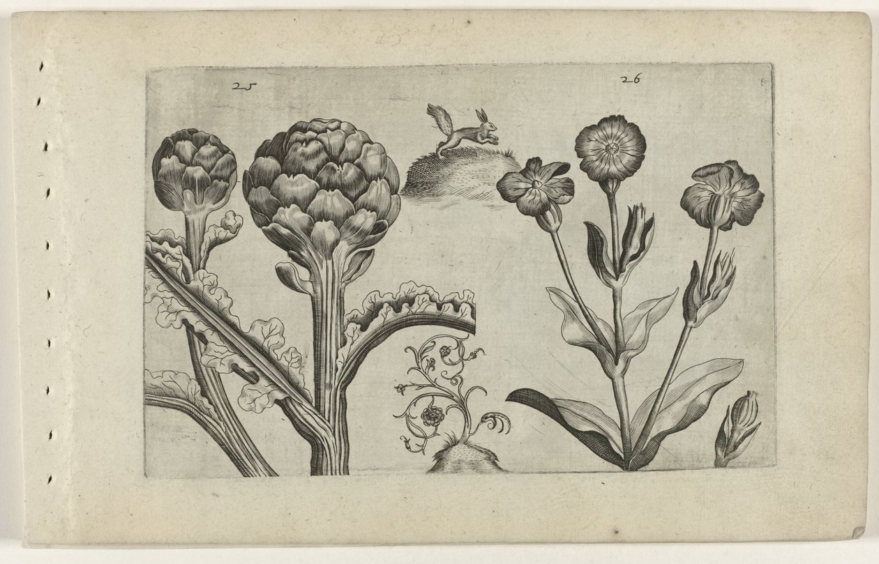 Artisjok en prikneus Know the Lilies (serietitel) av Crispijn van de Passe (I) (attributed to)