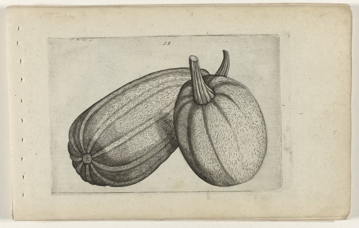 Två meloner Know the Lilies (serietitel) av Crispijn van de Passe (I) (attributed to)