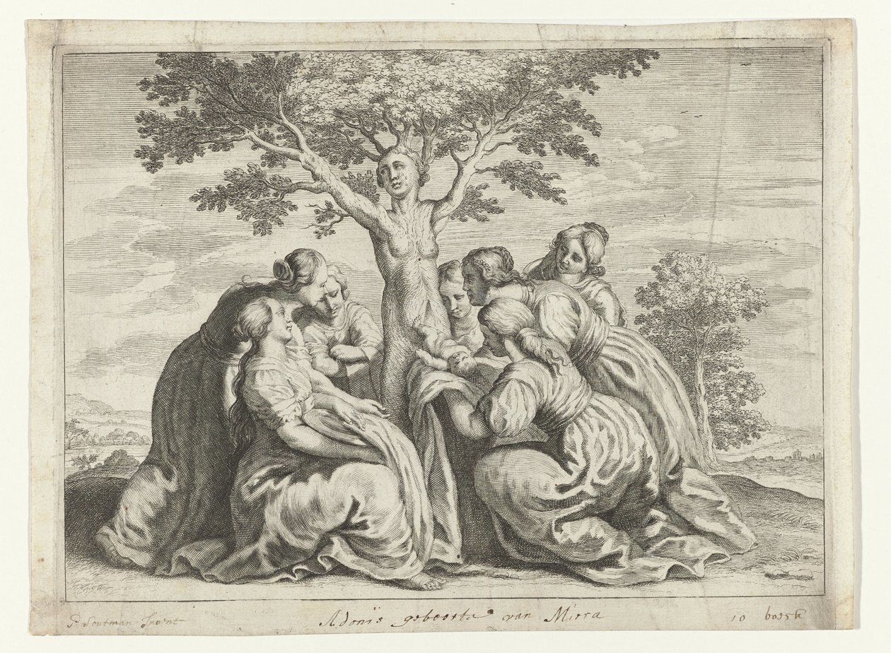 Adonis födelse Metamorphoses of Ovid (serietitel) av Crispijn van de Passe (II) (workshop of)