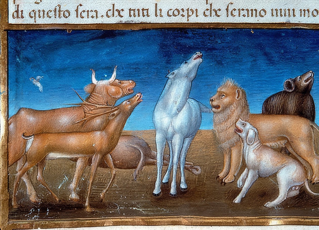 Världens ände: och stjärnorna kommer att falla från himlen och djuren kommer att bli rädda (c.149v). 1476 av Cristoforo De Predis
