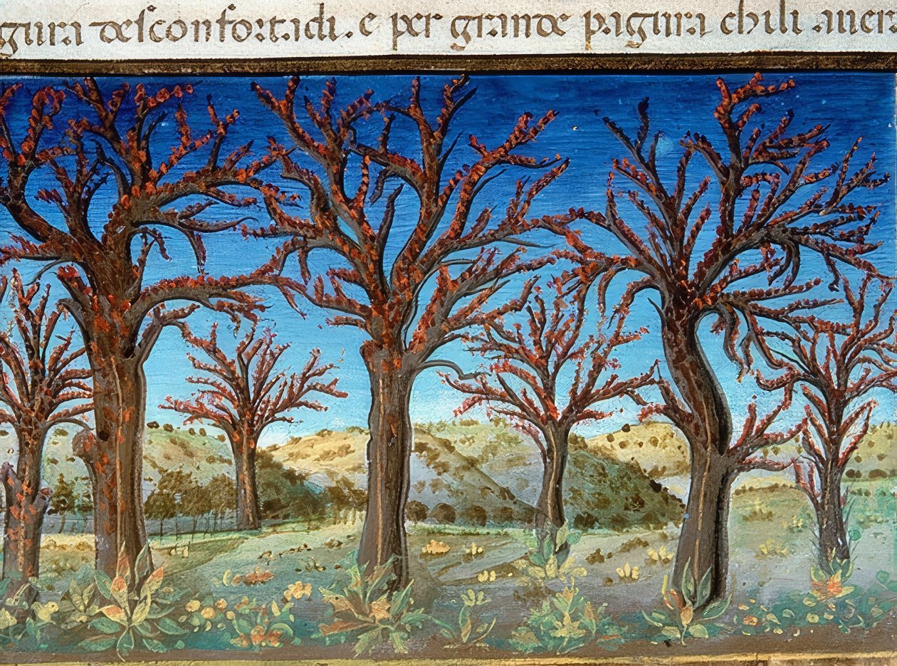 Världens ände: träden kommer att vara täckta av blod (c.147v). 1476 av Cristoforo De Predis