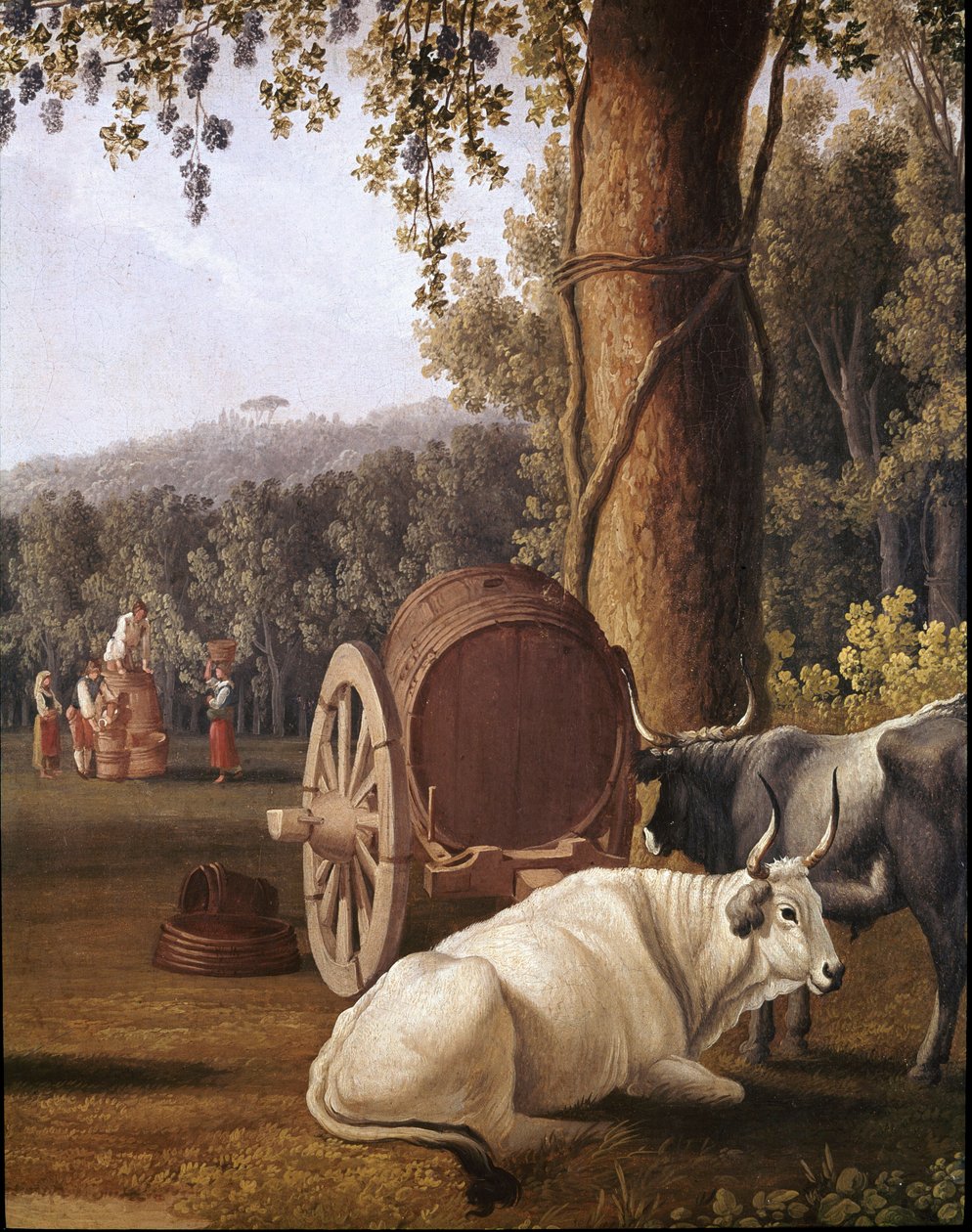 Skörd nära Neapel Detalj av kor - (Skörd nära Neapel) Målning av Cristoforo Kneip (1700-talet) Neapel, Museo Nazionale di San Martino av Cristoforo Kneip