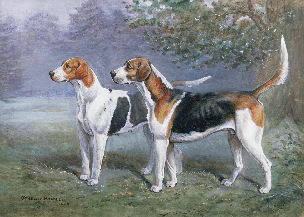 En tik och en hund Hund i ett landskap av Cuthbert Bradley