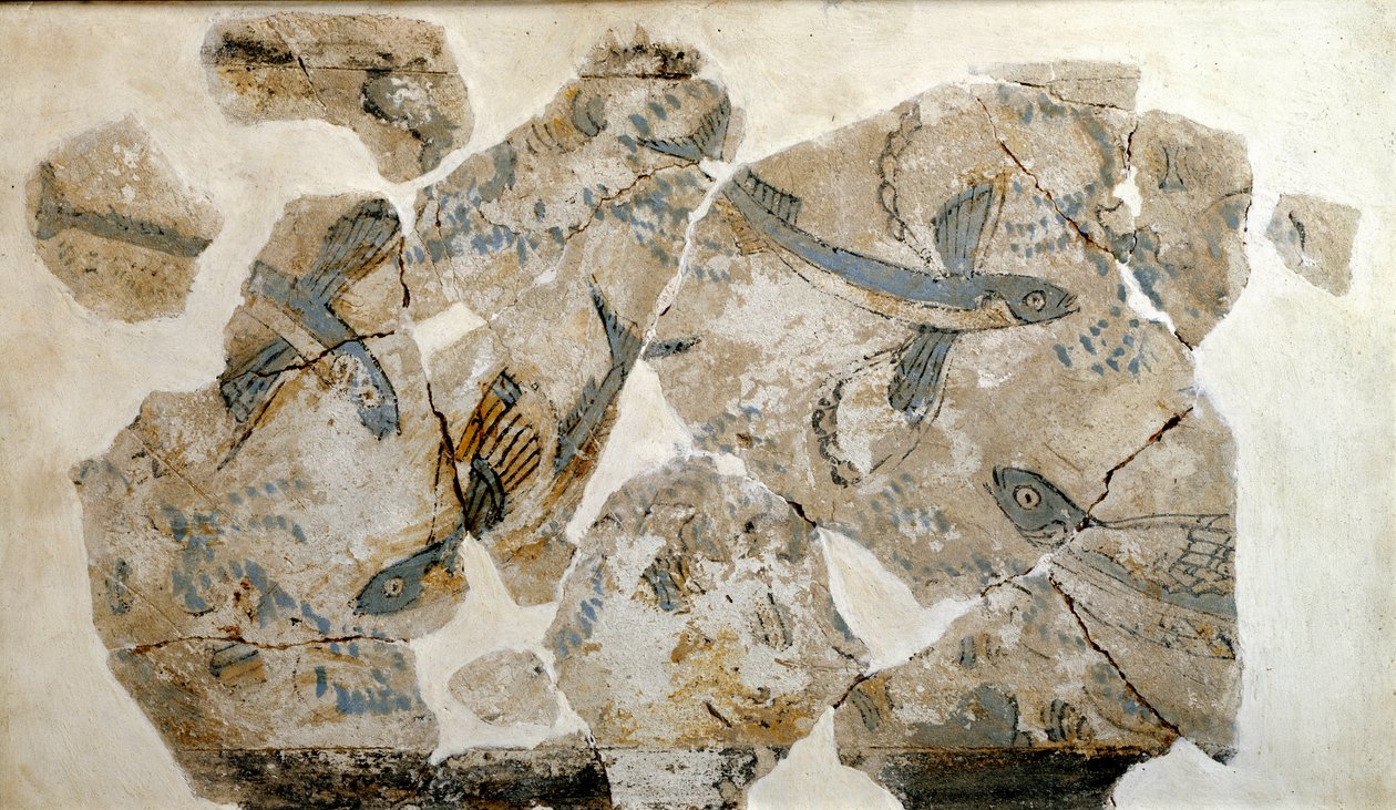 Kykladisk konst: fragment av fresk föreställande flygande fisk (havssvalor). från platsen för Phylakopi (ön Melos) 2500 f.Kr. Dim. 23 cm Aten, nationellt arkeologiskt museum - kykladisk konst: fragment av en fresk föreställande flygfiskar (tärnor), från si av Cycladic
