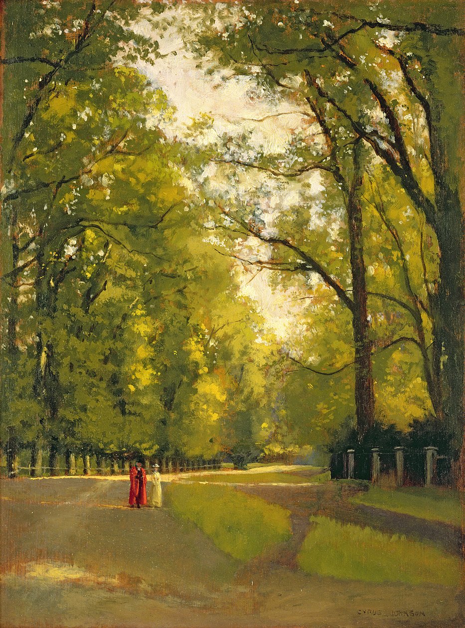 Baksidor av Colleges, Cambridge av Cyrus Johnson