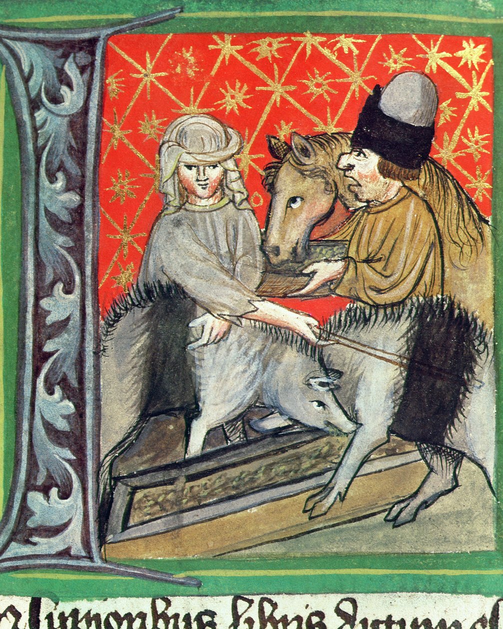 Uppfödning av grisar och hästar, från Opus Rural Commodorum av Pietro de Crescenzi (1230-1321) av Czech School