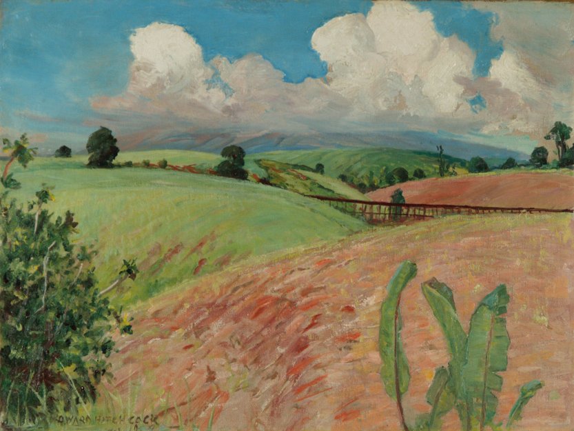 Canefields, Big Island  av D. Howard Hitchcock
