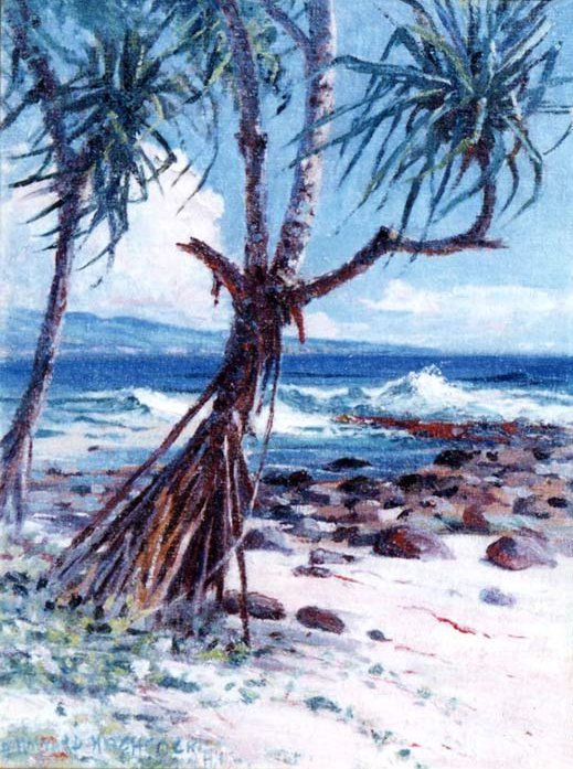Lauhala  av D. Howard Hitchcock