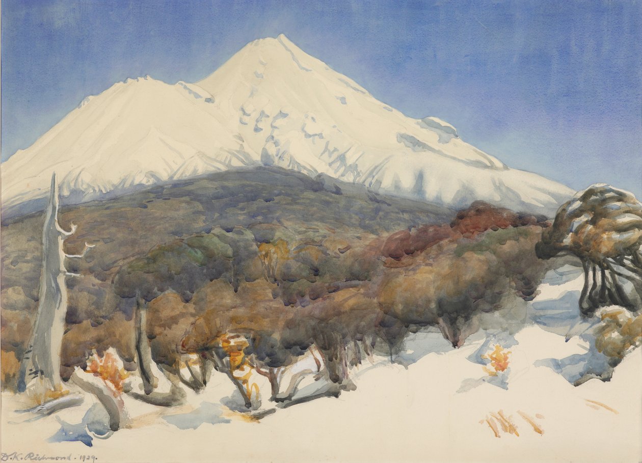 Mount Egmont av D. K. Richmond