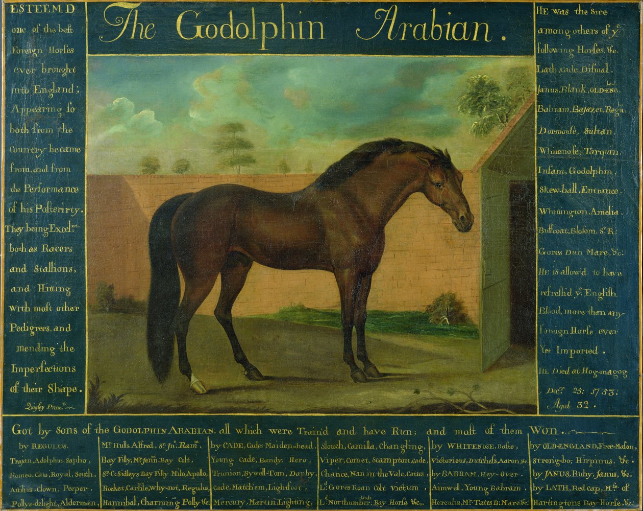 Godolphin Arabian av D. Quigley