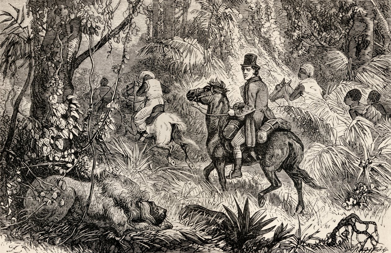 Mungo Park möter ett lejon på väg till byn Modiboo, 1825 av Dalziel Brothers
