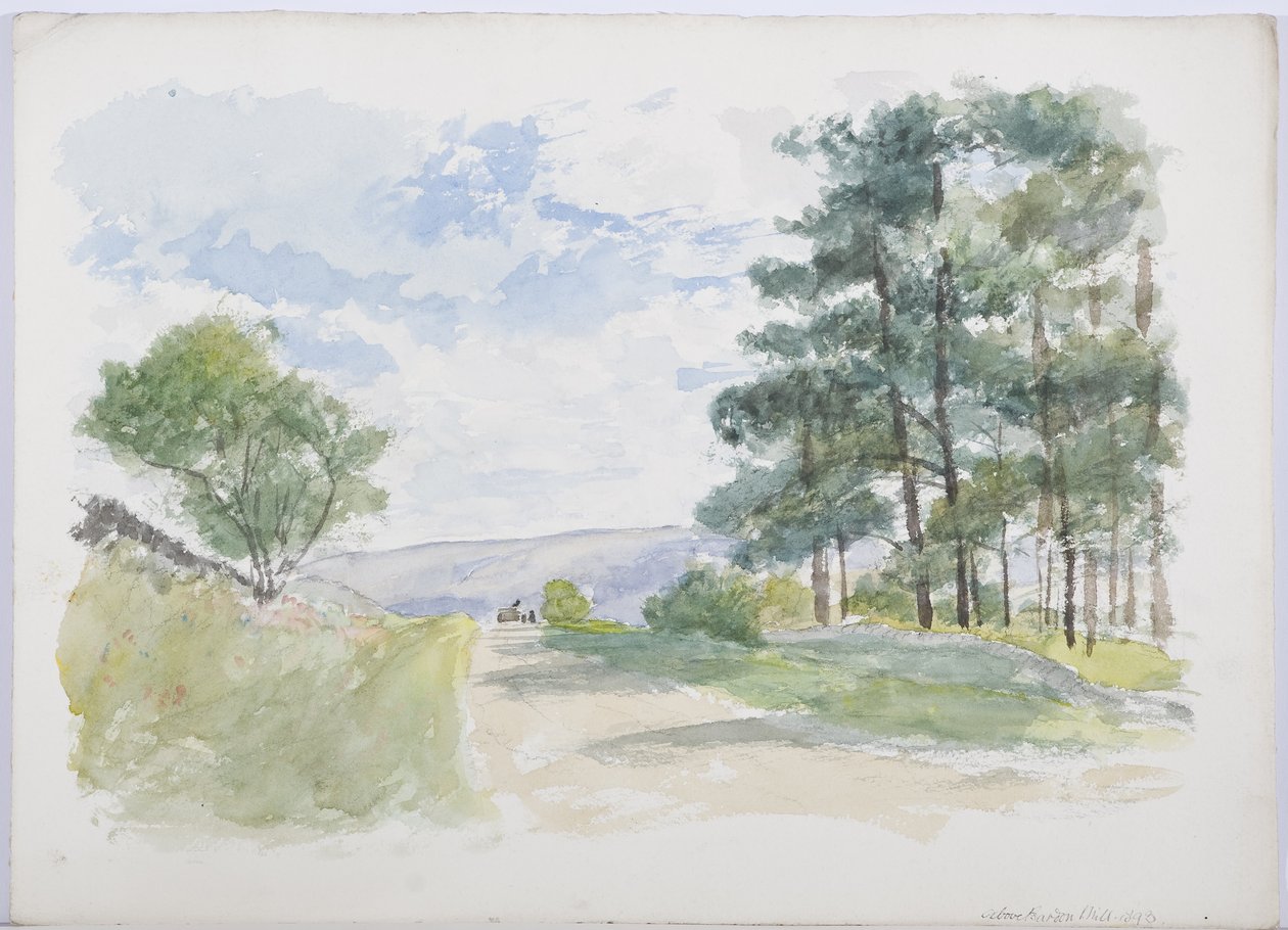 Ovanför Bardon Mill, 1893 (blyertspenna och wc på papper) av Daniel Oliver