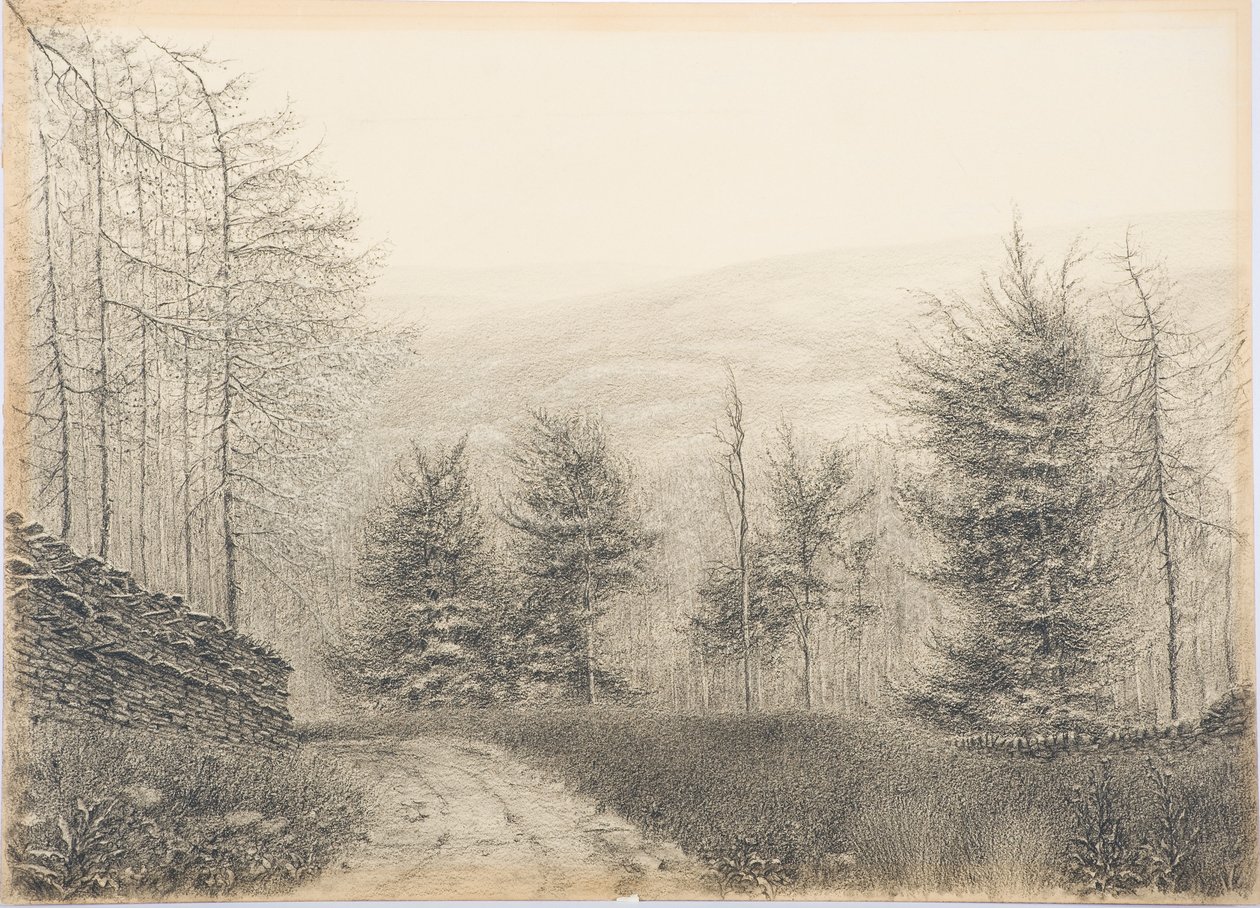 Egglestone Bridge, Teesdale, ca 1916 (svart krita på kort) av Daniel Oliver