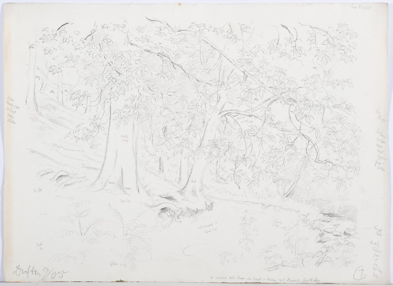 c.1916 (penna och wc på papper) av Daniel Oliver