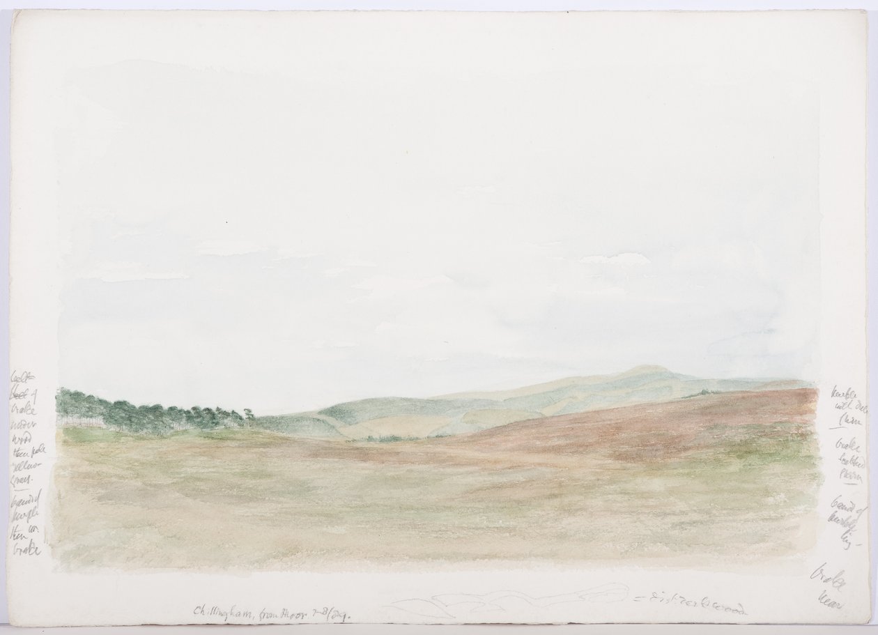 c.1916 (blyerts och wc på papper) av Daniel Oliver