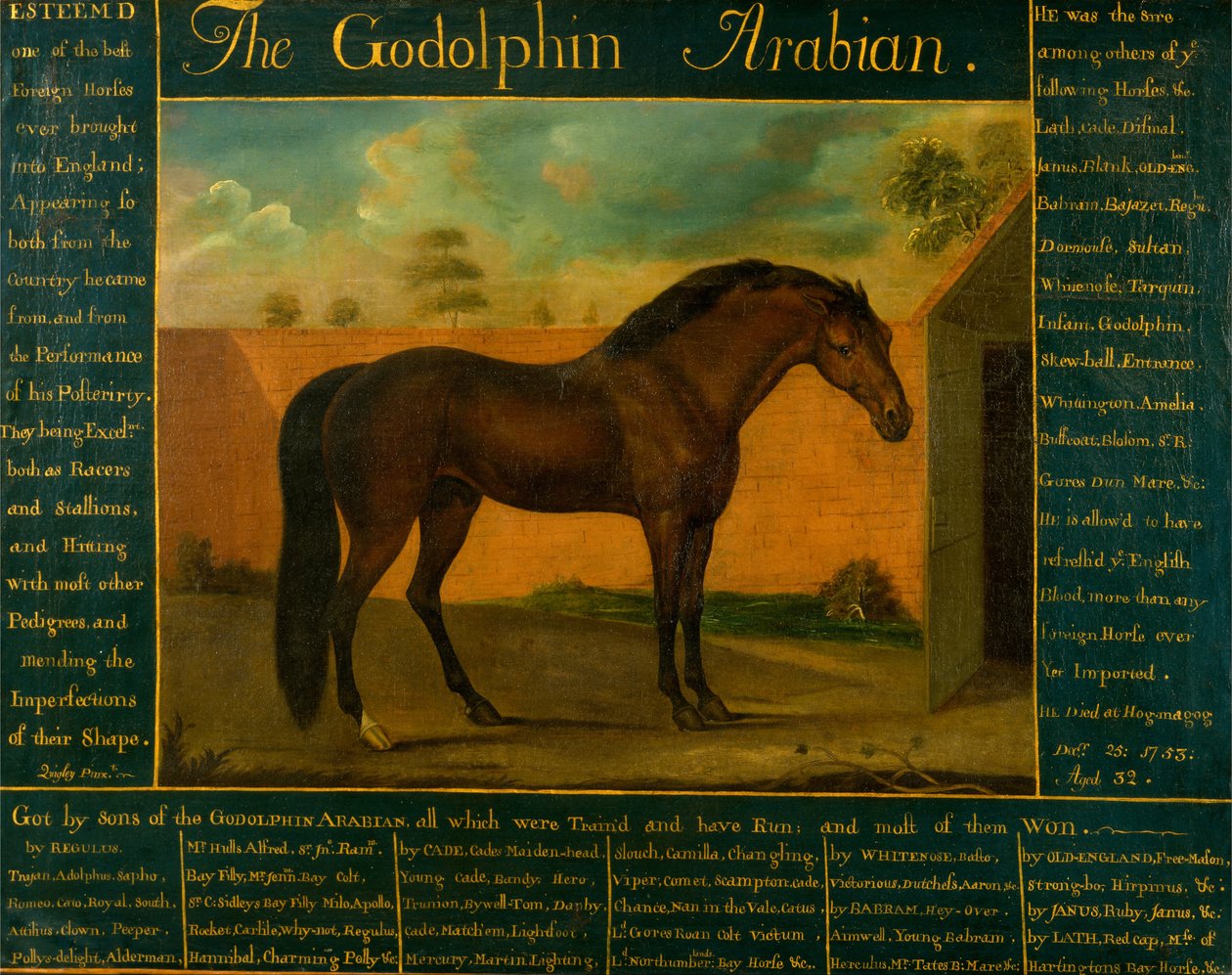Godolphin Arabian av Daniel Quigley