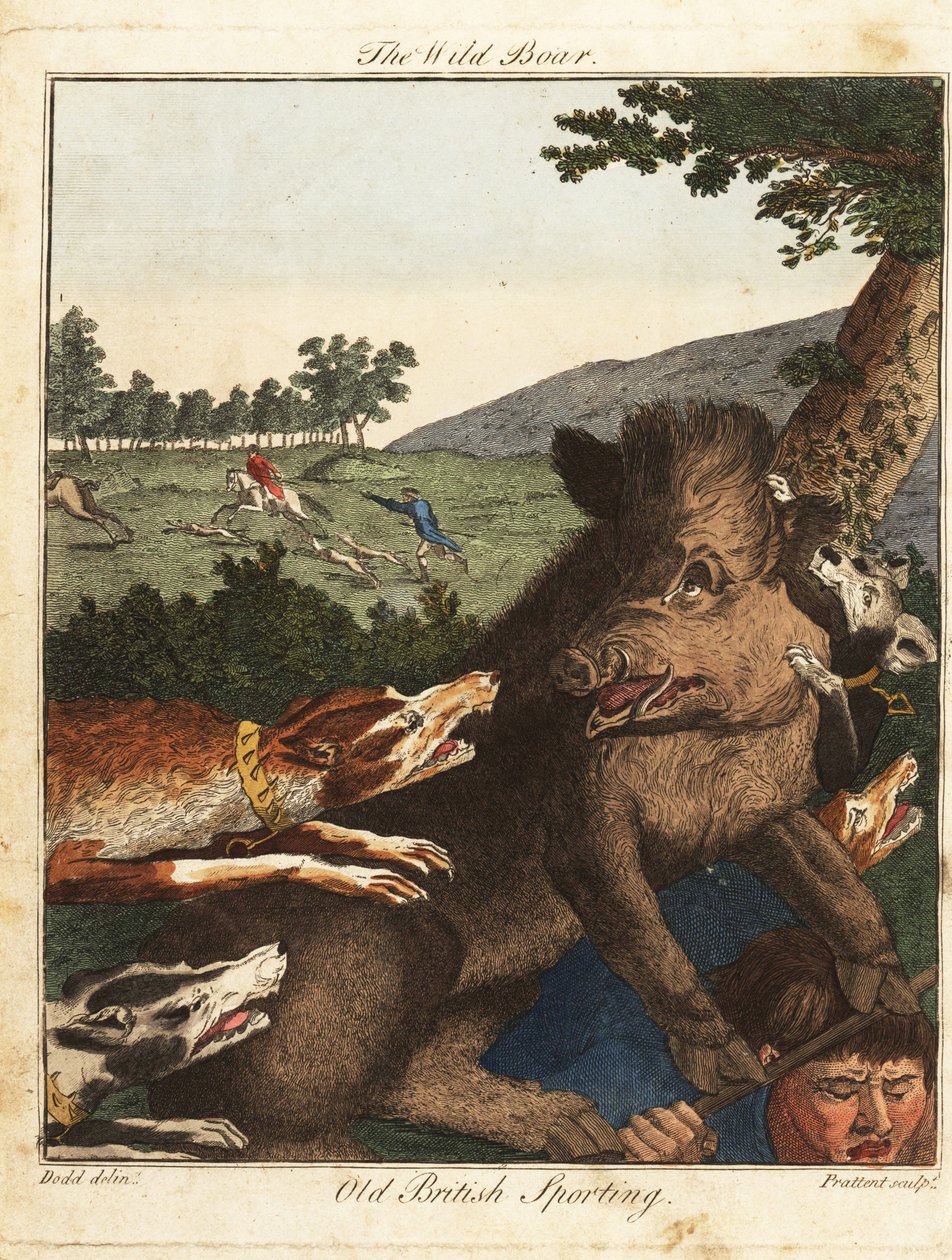 Jägare och hundar jagar ett vildsvin i England av Daniel (after) Dodd