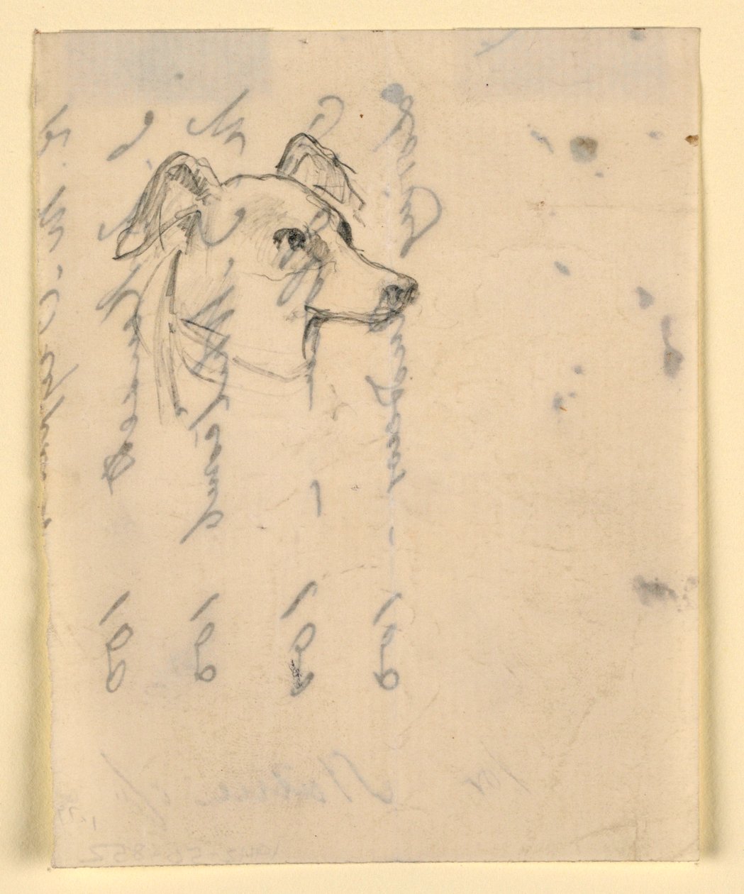 Teckning, hundhuvud, troligen Milo (en pointer), ca 1862 av Daniel Huntington