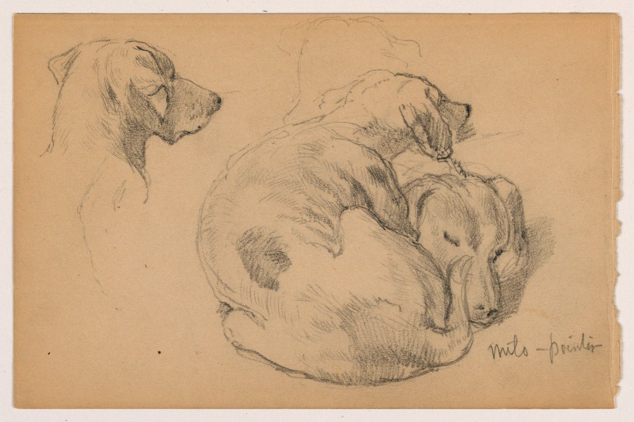Teckning, Milo (en pekare) tre studier, Milo (en pekare) två studier, ca 1862 av Daniel Huntington