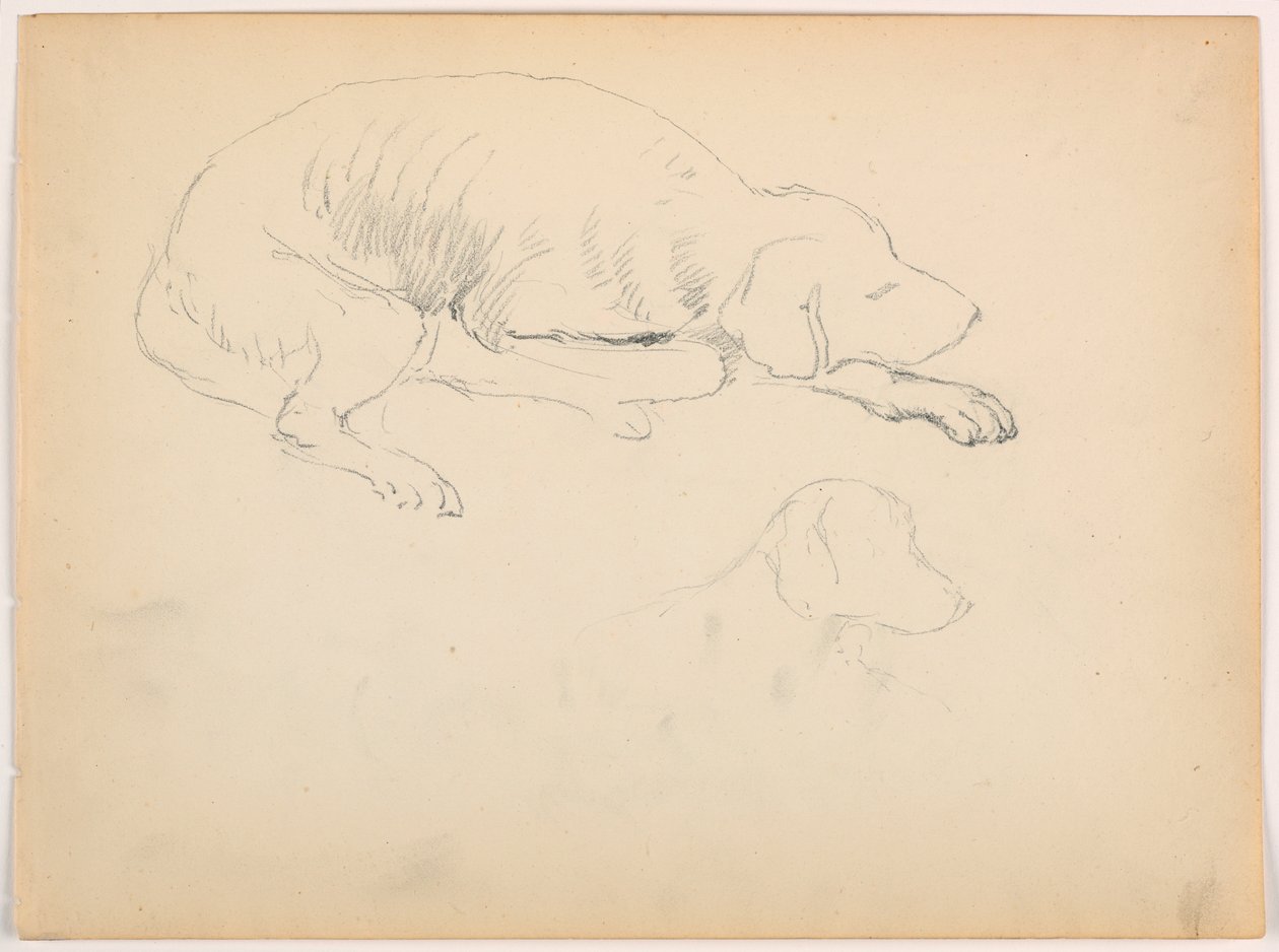 Teckning, Milo (en pointer), två studier, ca 1862 av Daniel Huntington