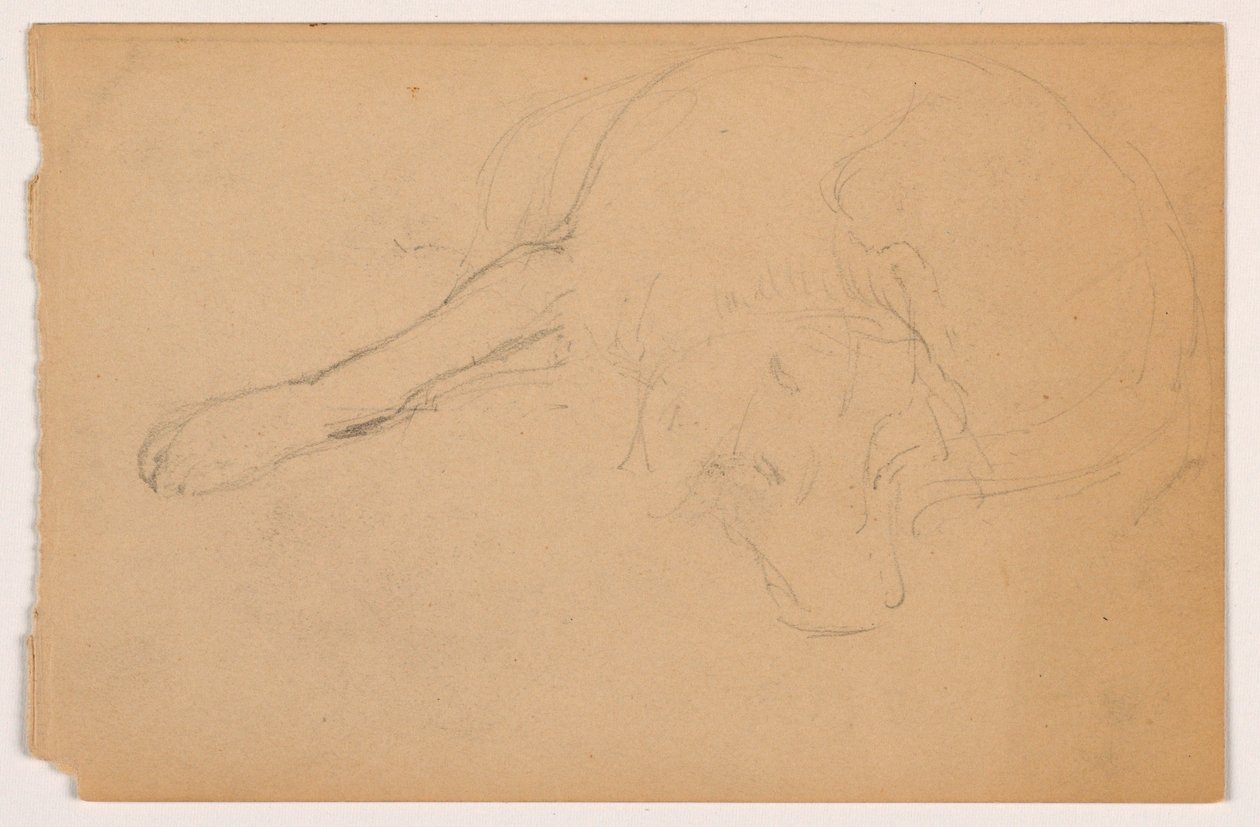 Teckning, Miol (en pekare), ca 1862 av Daniel Huntington