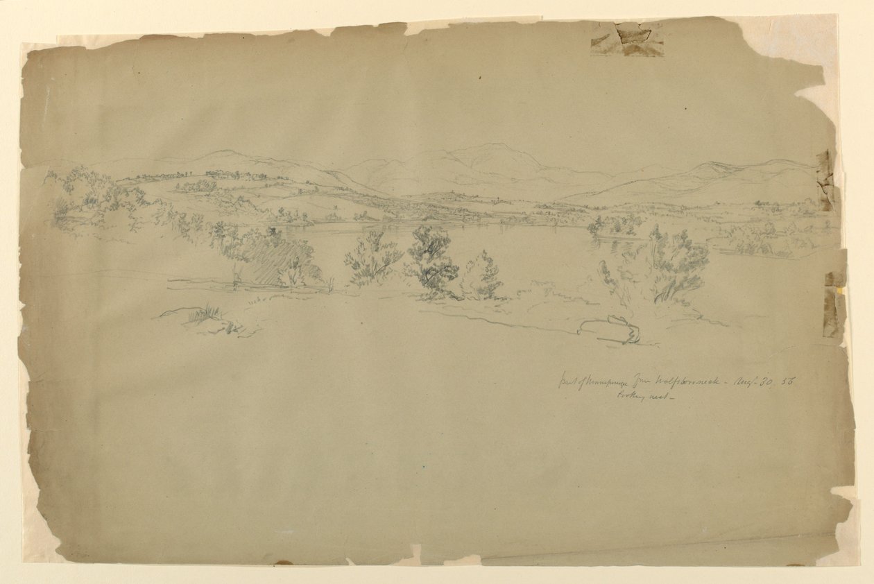 Lake Winnipesaukee från Wolfeboro Neck, Looking West av Daniel Huntington