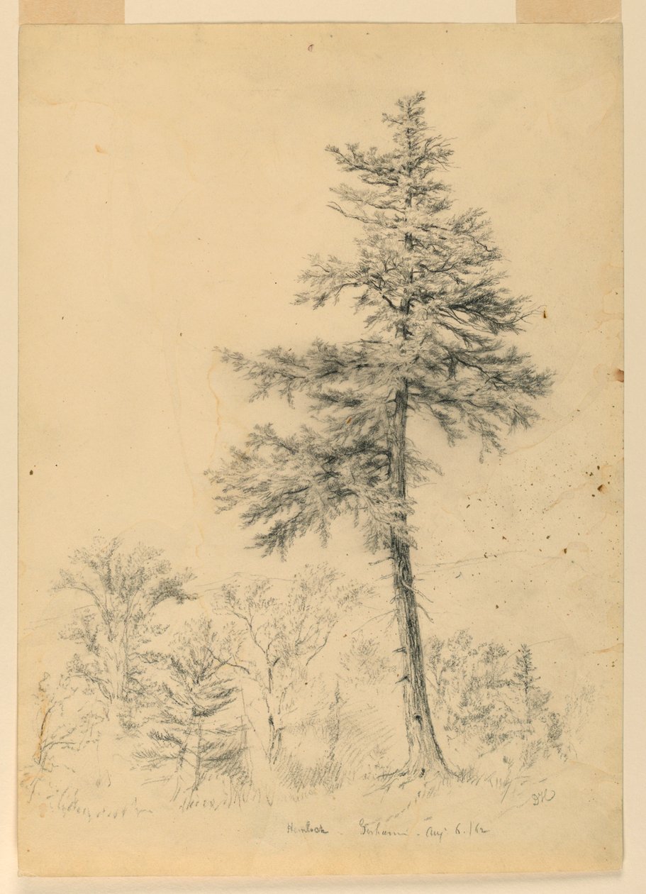 Studie av Hemlock, Gorham, New Hampshire av Daniel Huntington
