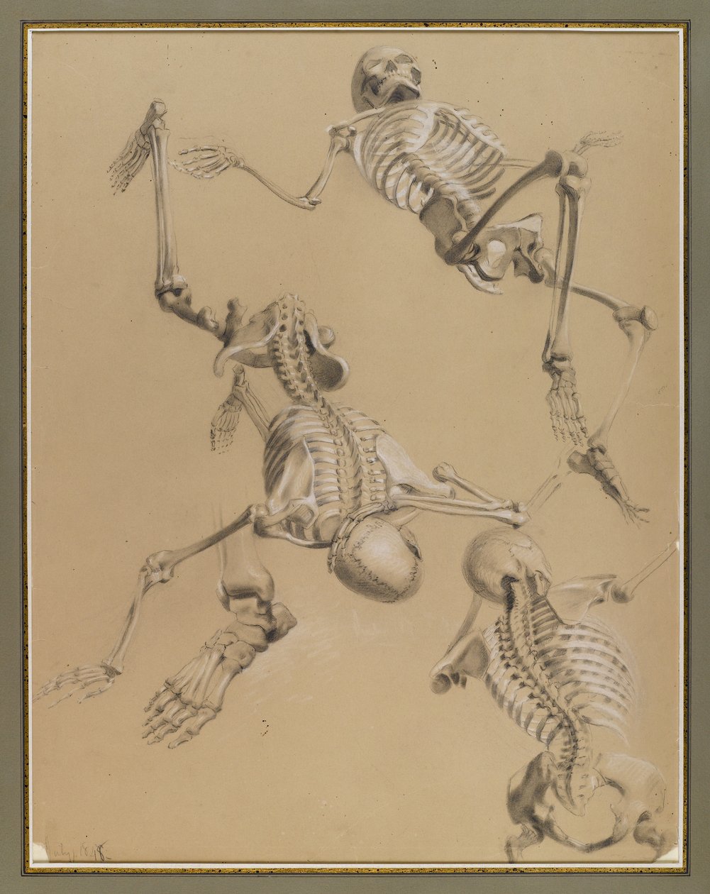 Studie av skelett, 1848 (krita på papper) av Daniel Huntington