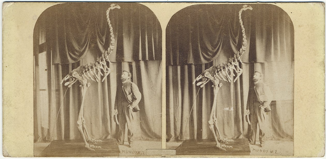 Julius von Haast och Moa, Canterbury Museum, c.1867 (albumenprint) av Daniel Louis Mundy