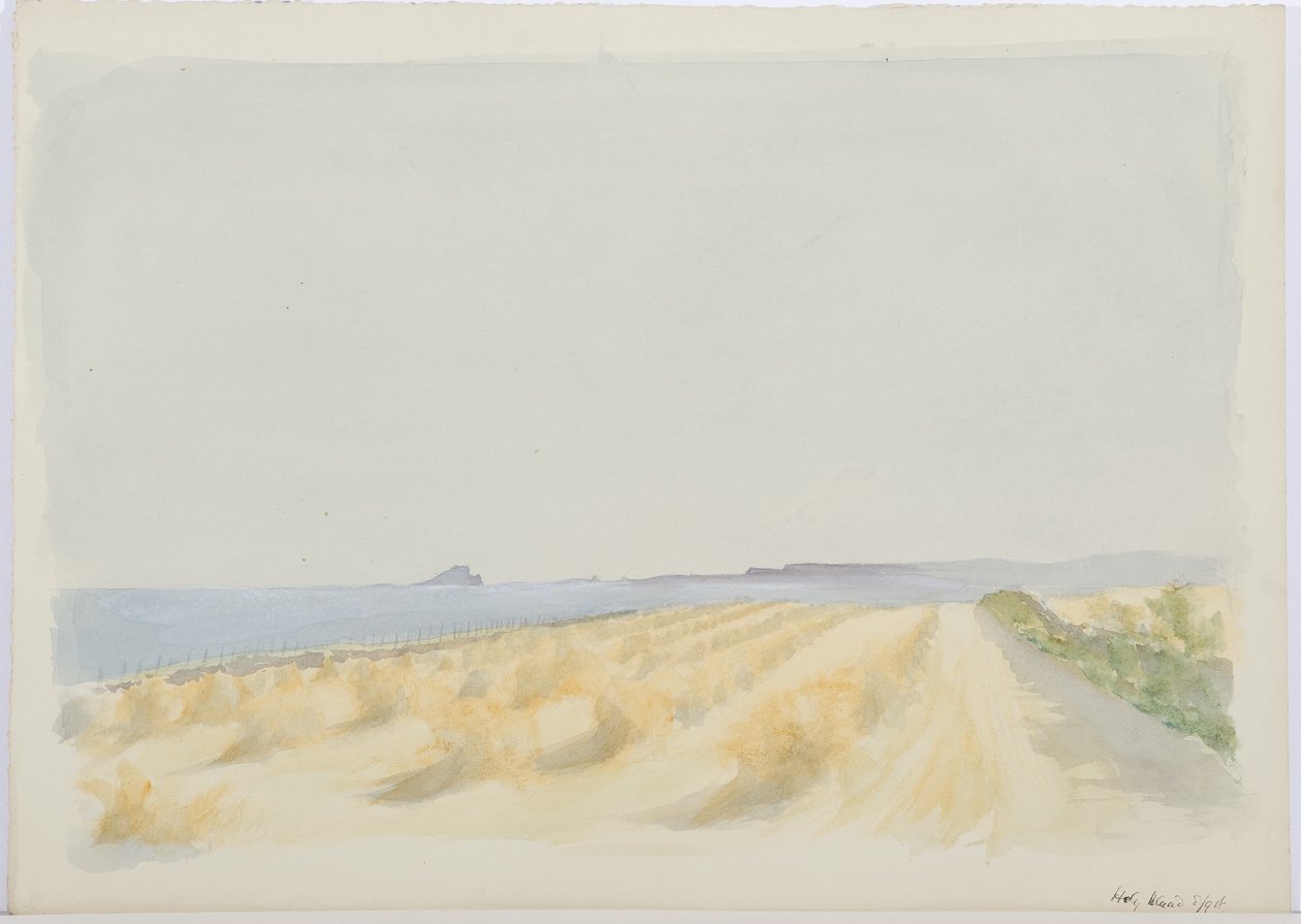Holy Island, 1894 (penna och wc på papper) av Daniel Oliver