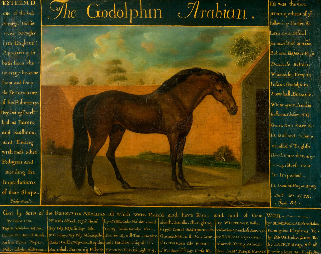 Godolphin Arabian av Daniel Quigley
