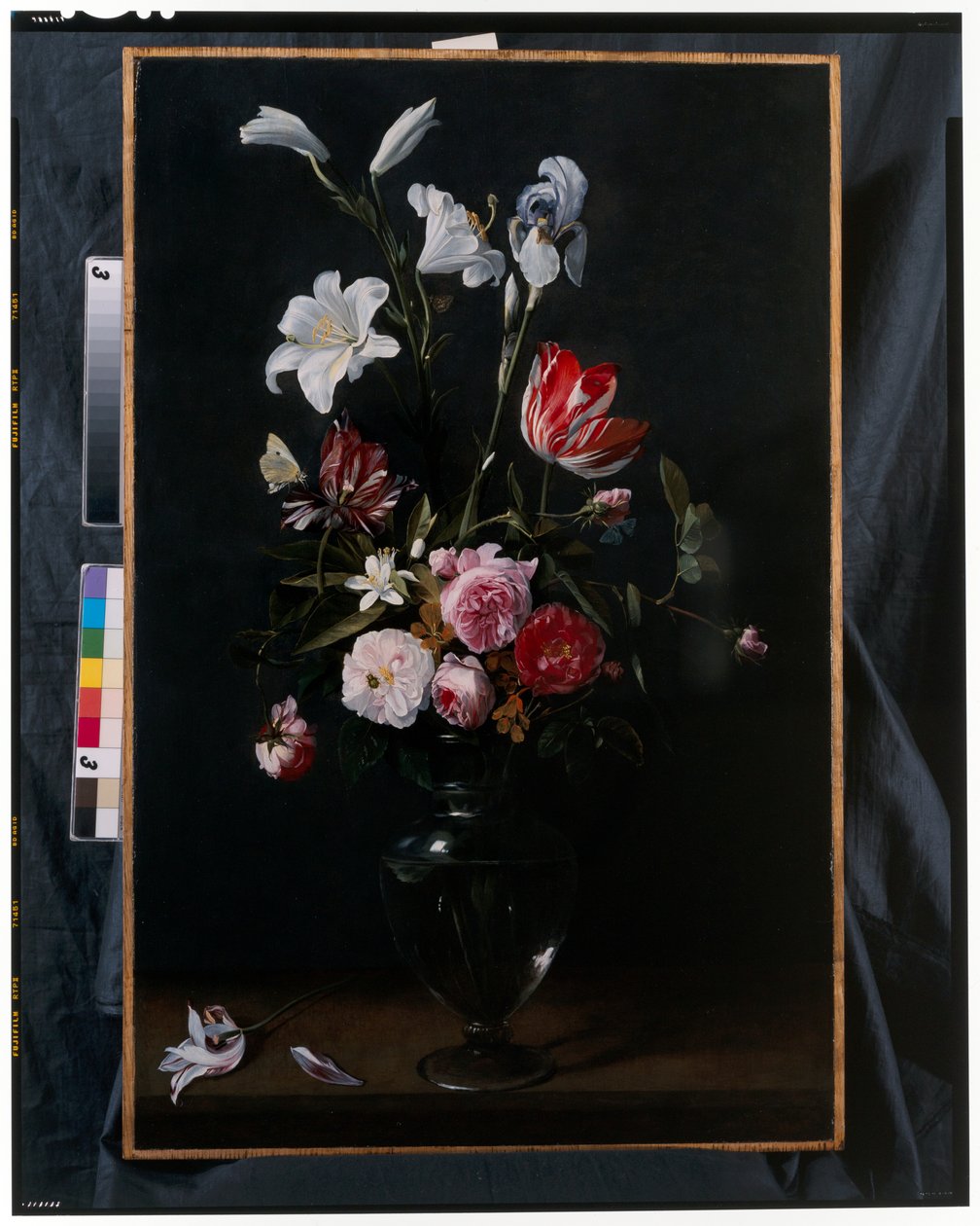 Byglar av rosor, tulpaner, påskliljor och andra blommor upphängda i blåa band (olja på koppar) av Daniel Seghers