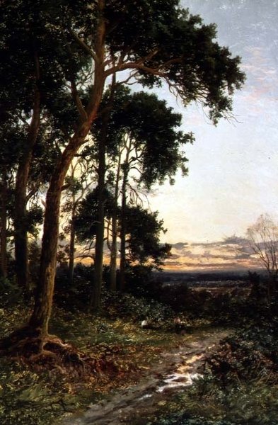 Skogsvägen av Daniel Sherrin