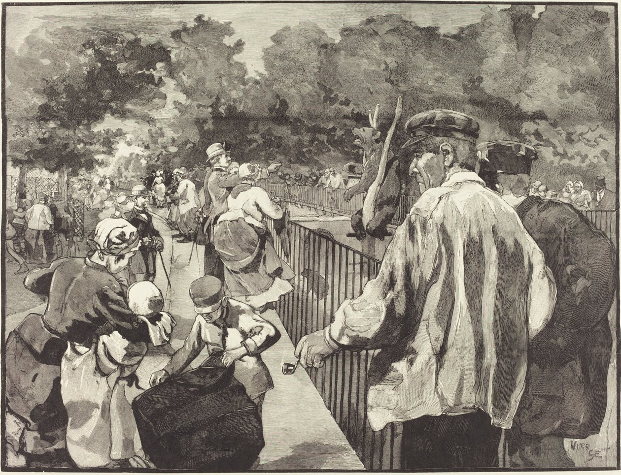 I Jardin des Plantes av Daniel Vierge