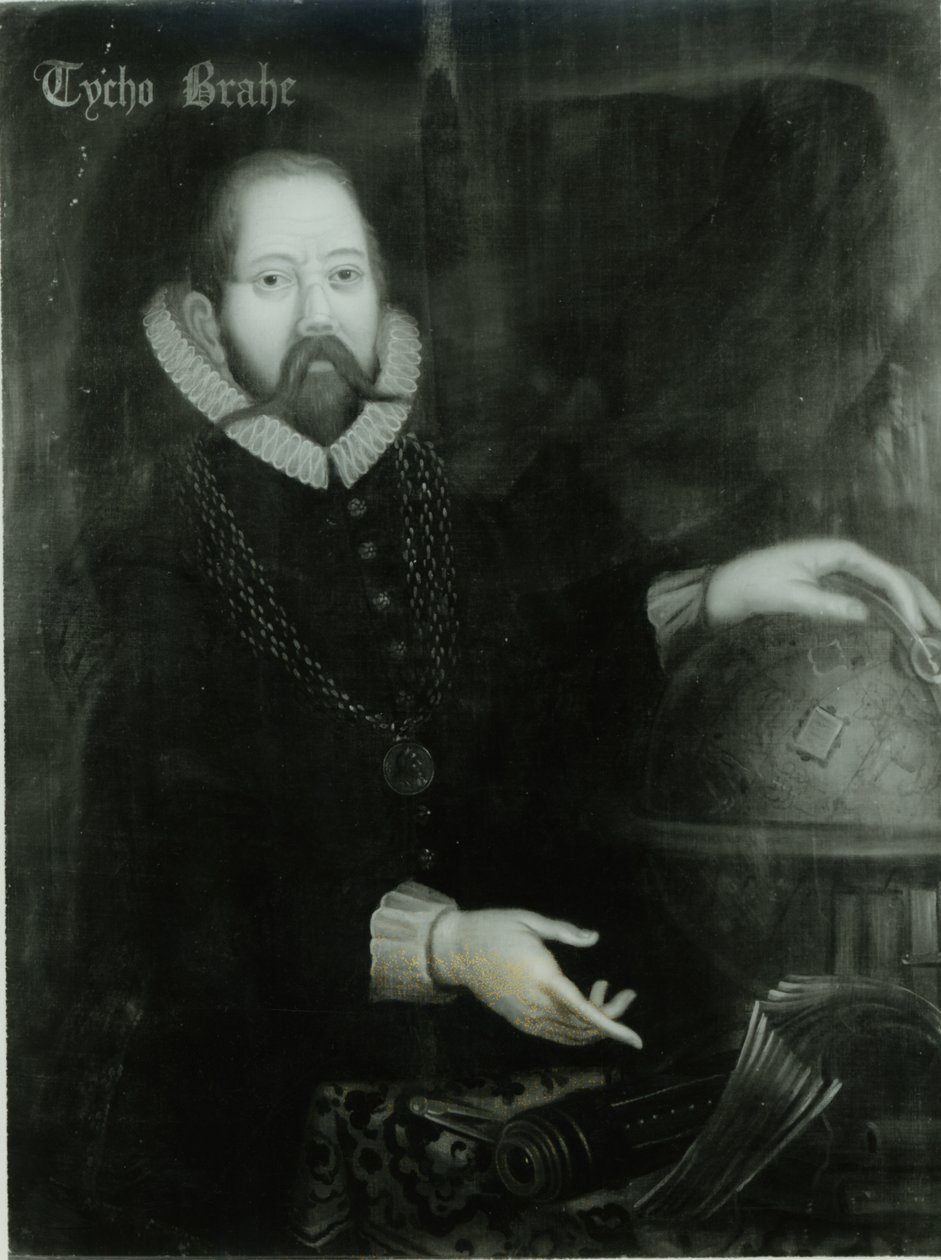 Tycho Brahe (1546-1601) av Danish School