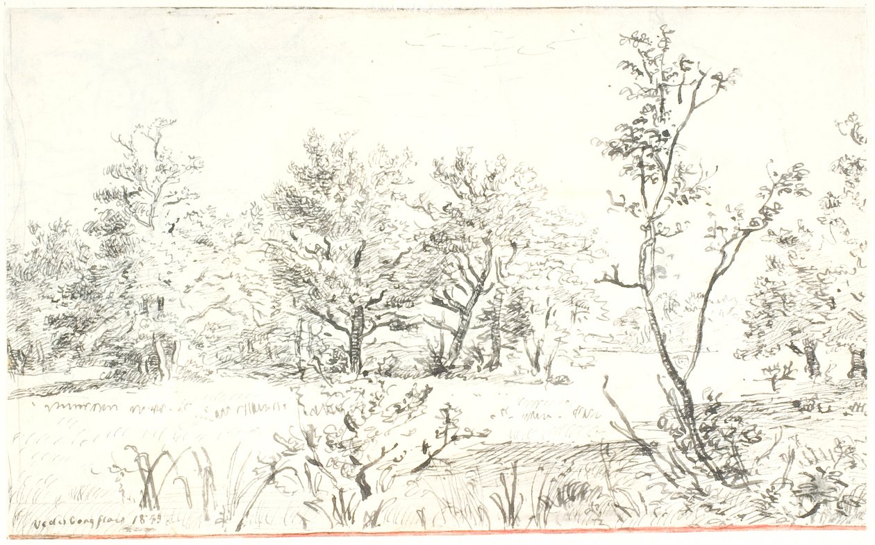 Landskap med skog och äng av Dankvart Dreyer
