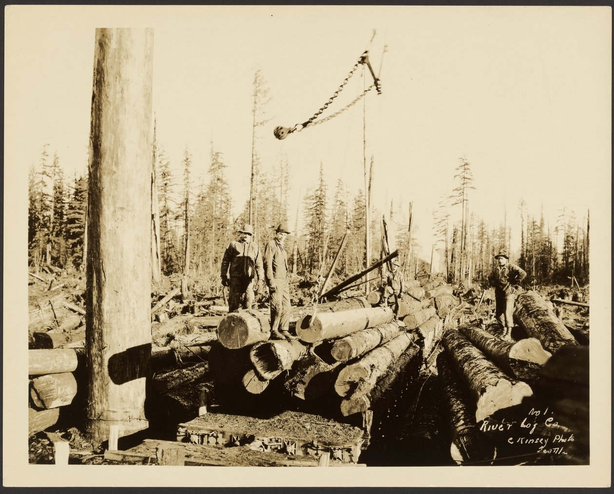 [Logging/ Timber Scene] av Darius Kinsey