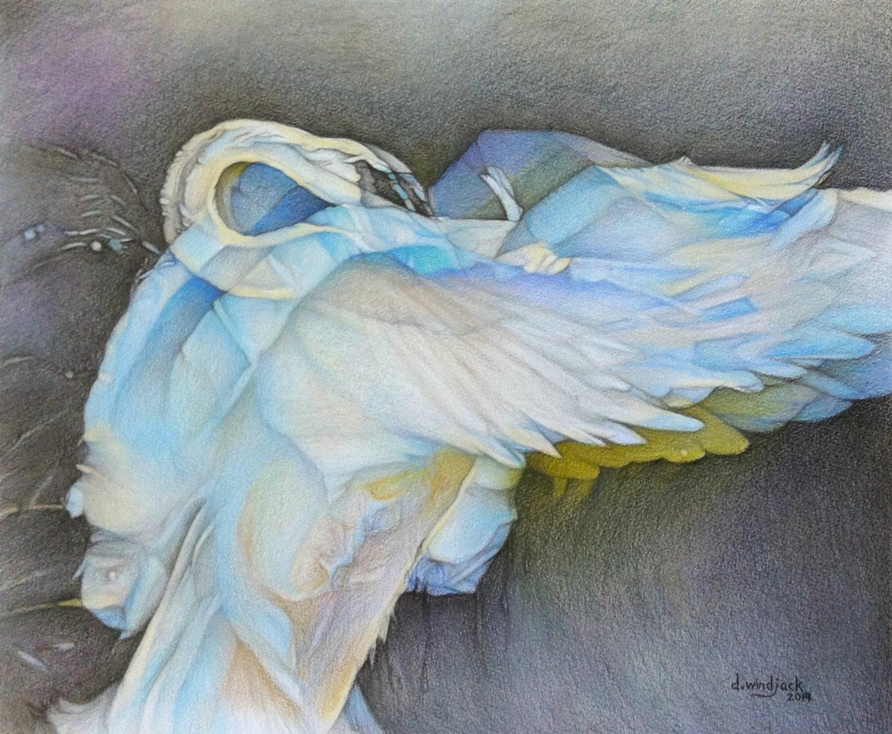 Taking Flight, 2019 (blyerts på papper) av Darrell Windjack