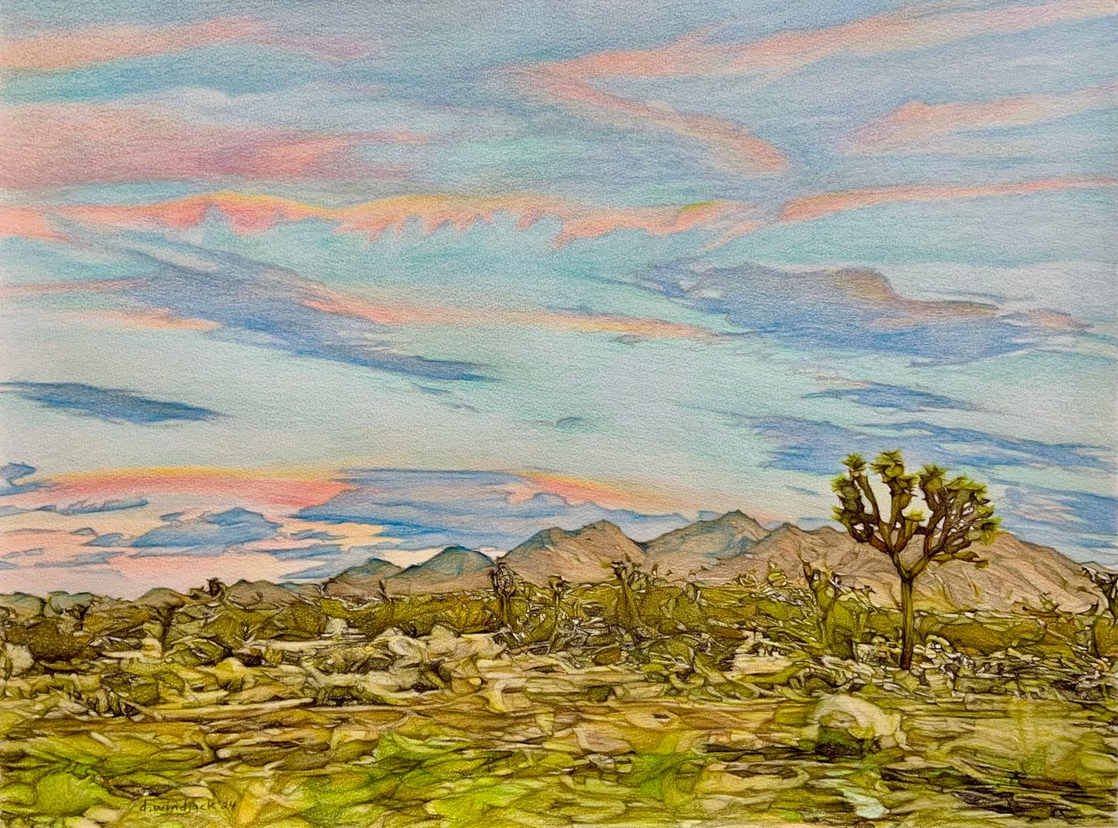 The Joshua Tree, 2023 (blyerts på papper) av Darrell Windjack