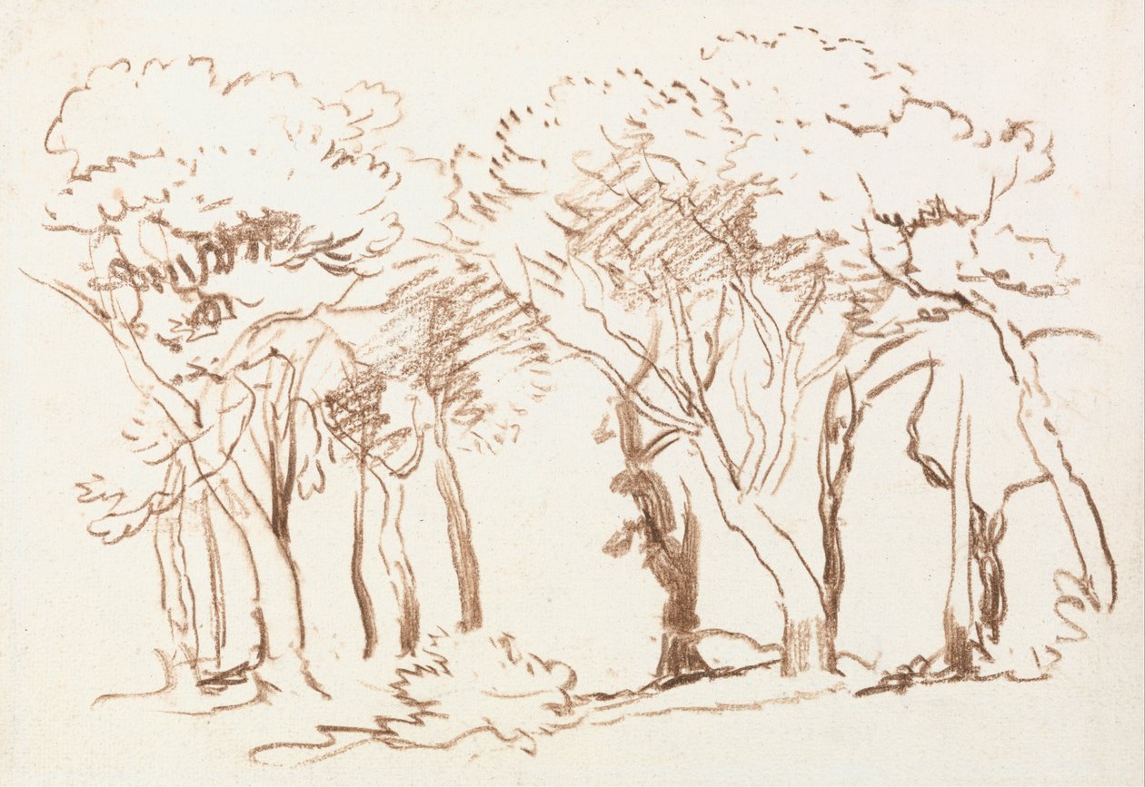 Studera träd av David Cox