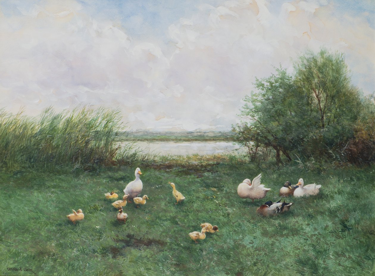 Ankor och ankungar av David Adolph Constant Artz
