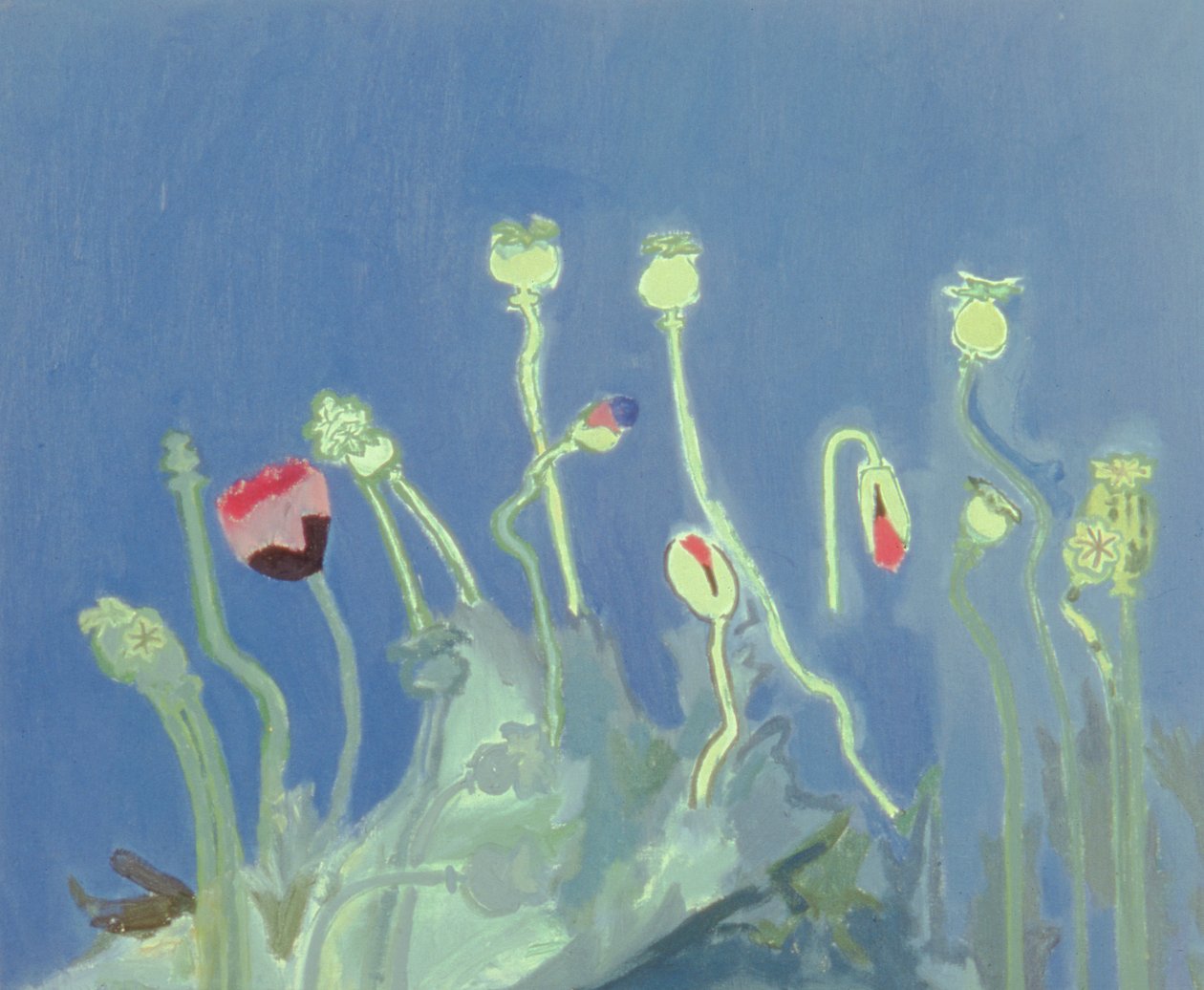 Poppyheads (olja på duk) av David Alan Redpath Michie