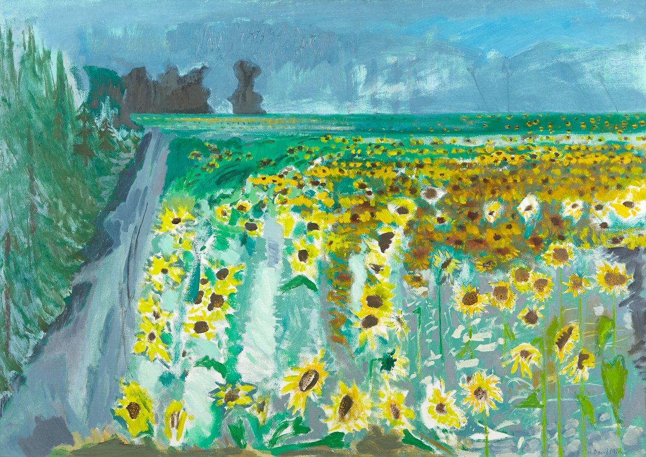 Sunflowers and Mistral, 2002 (olja på duk) av David Alan Redpath Michie