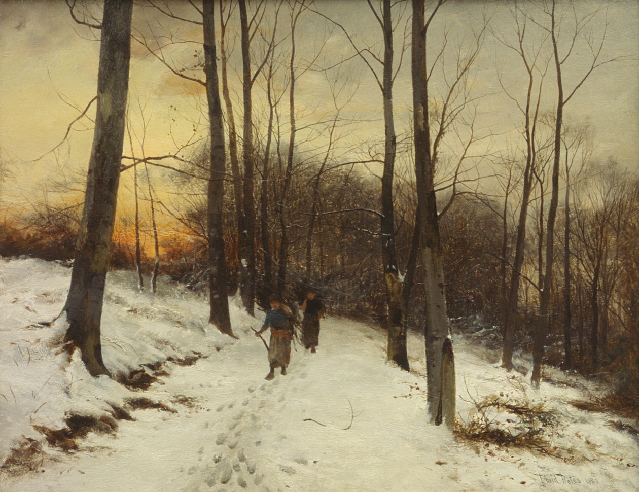 Malvern Woods (olja) av David Bates