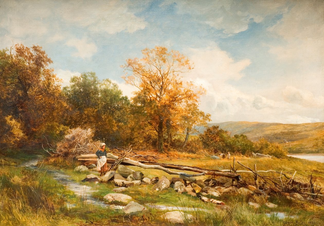 Tidvattenstängsel vid floden Conwy i Bachlediog, 1891 99 River; Conwy; Conway; Tidvattenstängsel; barriär; Bachlediog; Afon Conwy; Conway; landskap; Wales; Wales; höst; höst; av David Bates
